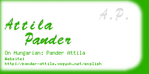 attila pander business card
